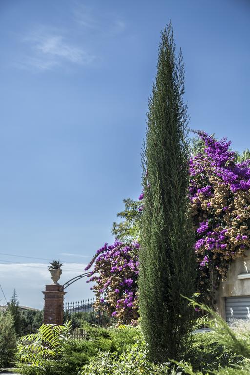 Bed and Breakfast La Dimora Di Samu Enna Exterior foto